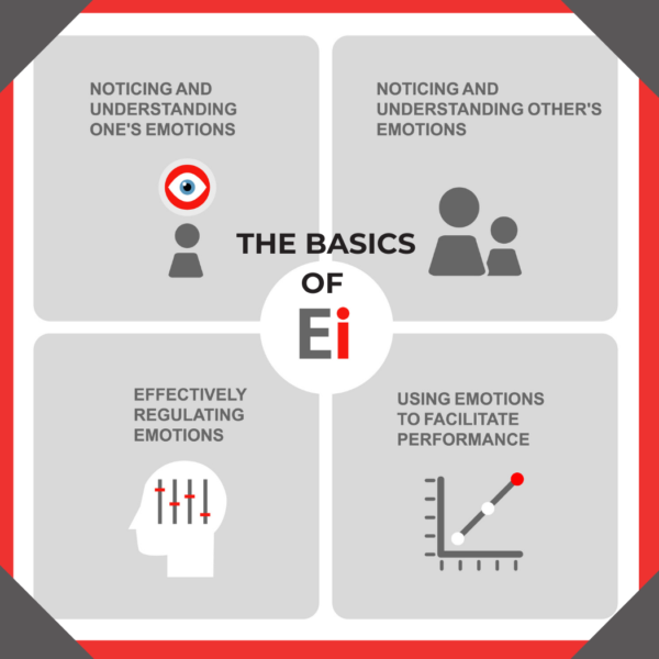 Everyday Ei  Bundle - Image 5
