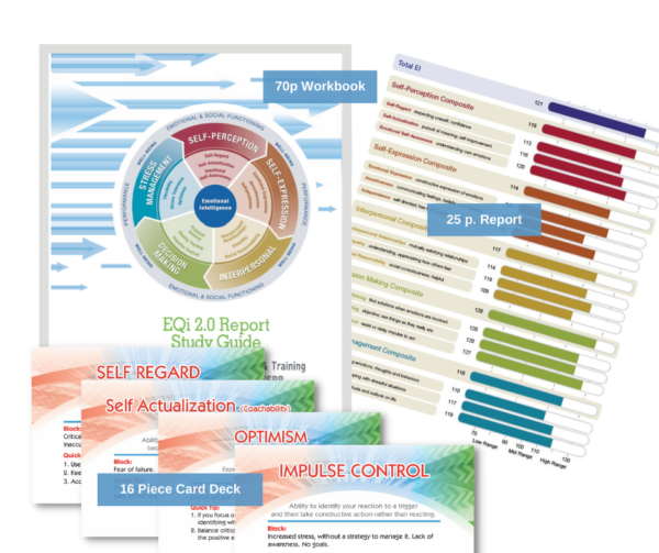 Ei Impact: Emotional Intelligence Assessment & Coaching - Image 6