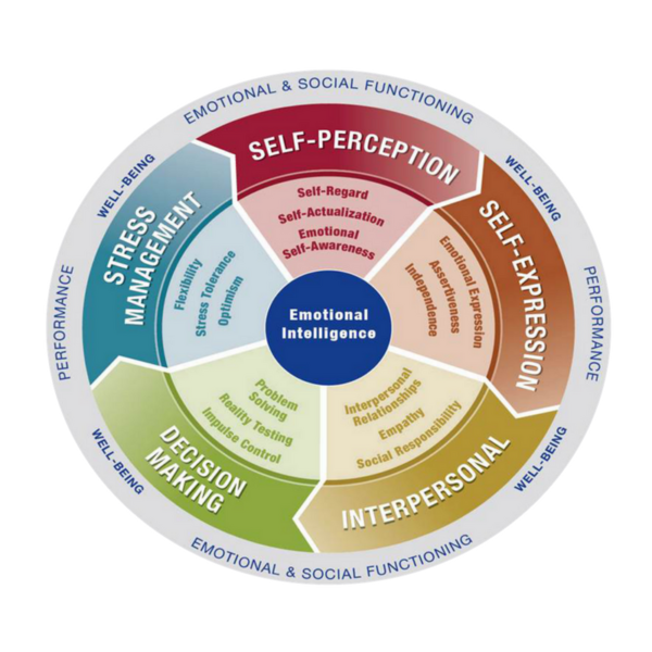 Ei Impact: Emotional Intelligence Assessment & Coaching - Image 3