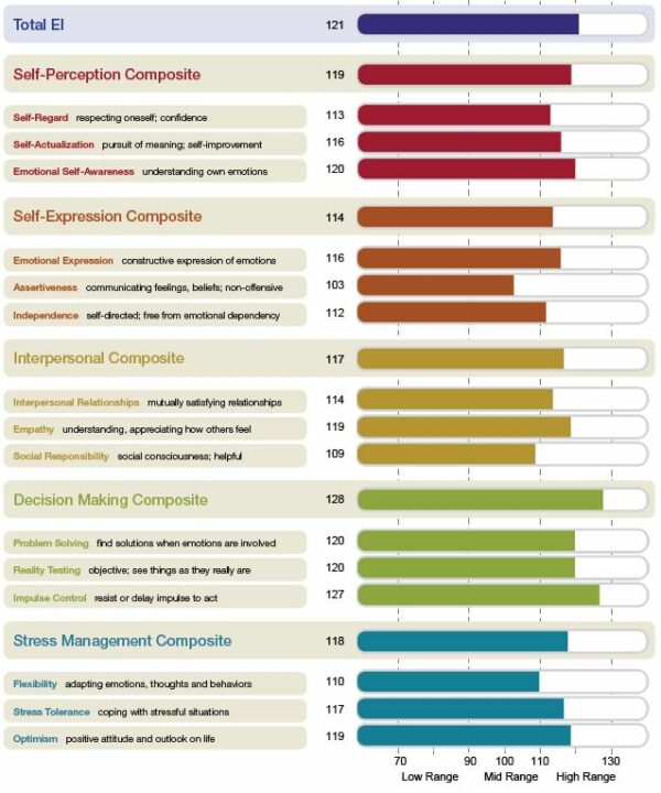 Ei Impact: Emotional Intelligence Assessment & Coaching - Image 5
