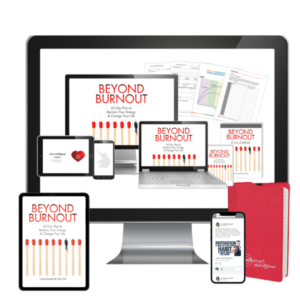 Beyond Burnout Program